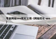 专业网站seo优化公司（网站优化 seo）